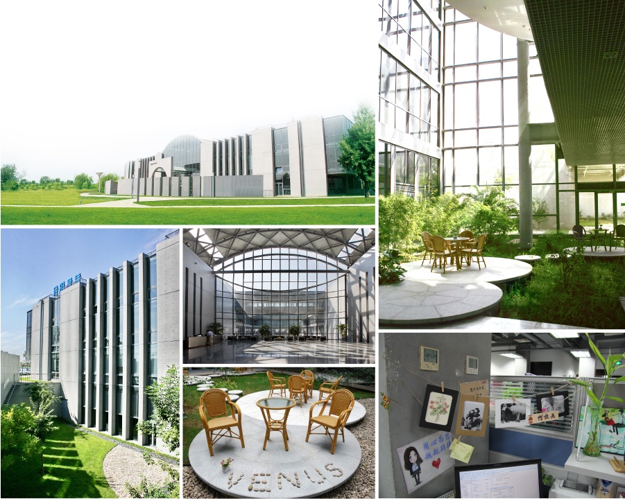 ���ֲ�����