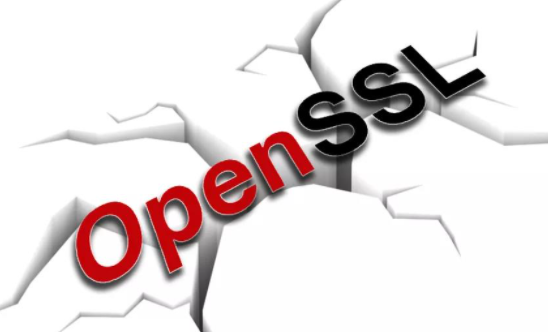 OpenSSL�����徲�����������������޸���Ʒ�е�2���徲���.png