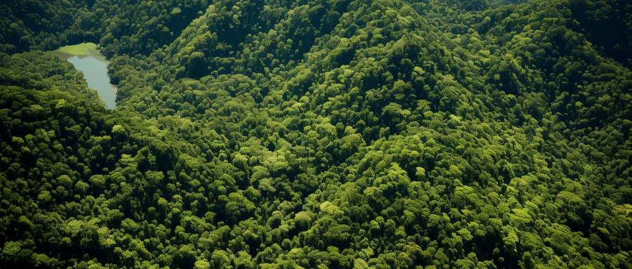 welcome-���ֲ�