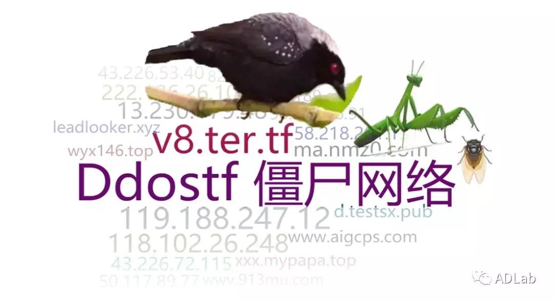 welcome-���ֲ�