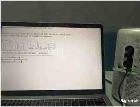 welcome-���ֲ�