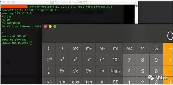 welcome-���ֲ�